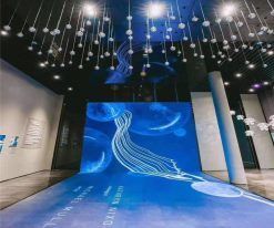 interaktiivne tantsupõranda led sein (1)